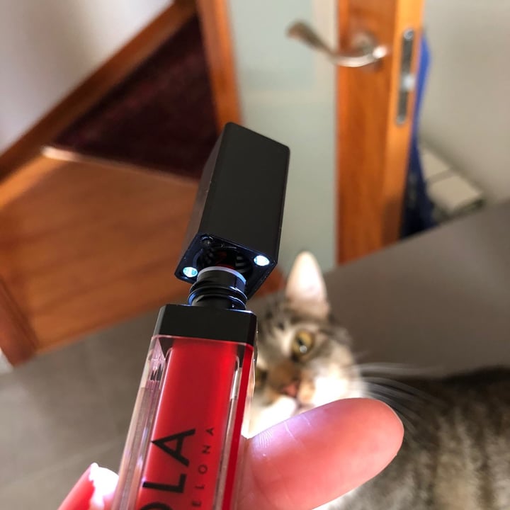 photo of Lola Barcelona Lipstick shared by @myveglife on  20 Nov 2021 - review