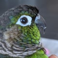 jmarikar @jmarikar profile image