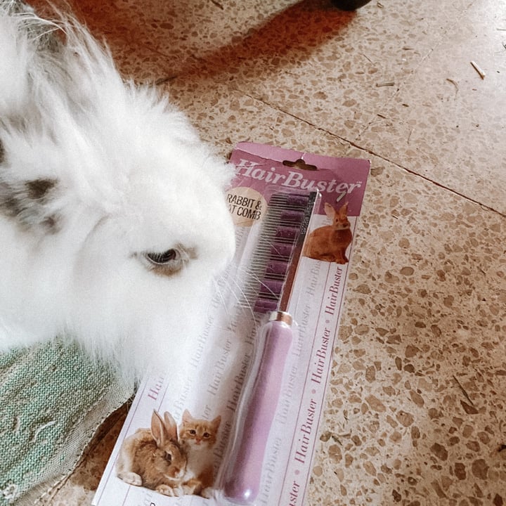 review photo shared by @theveganhopper on 13 Sep 2022 - post