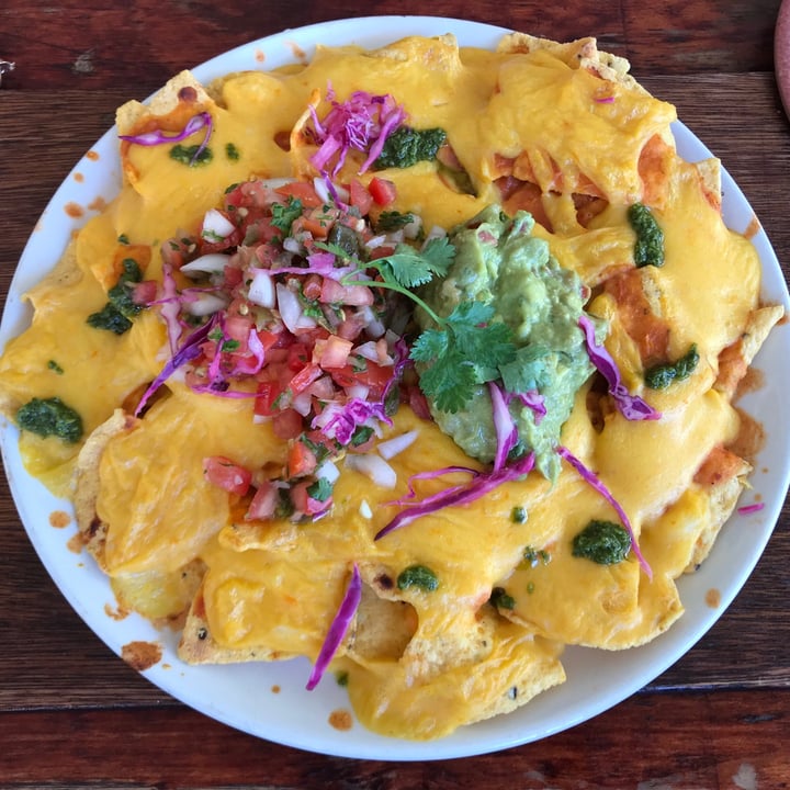 photo of The Fat Cactus Gardens Beeg Cheesy Nachos shared by @lucyjseward on  06 Dec 2020 - review