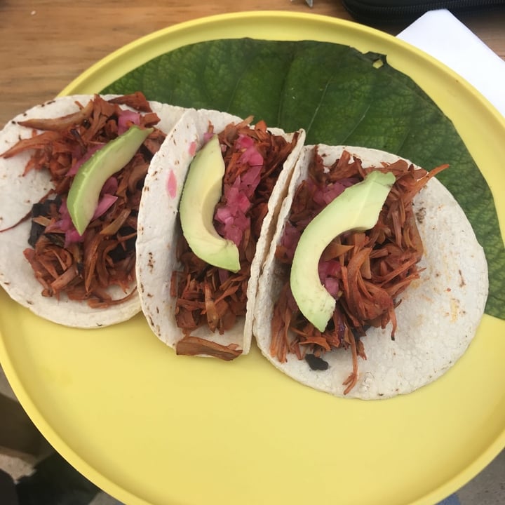 photo of Veggie 2 GO Tacos de yaca pibil shared by @lunapimentel on  29 Dec 2019 - review