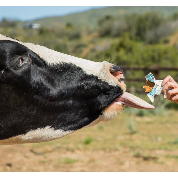 photo of GoMacro Protein Replenishment - Peanut butter shared by @farmsanctuary on  20 May 2022 - review