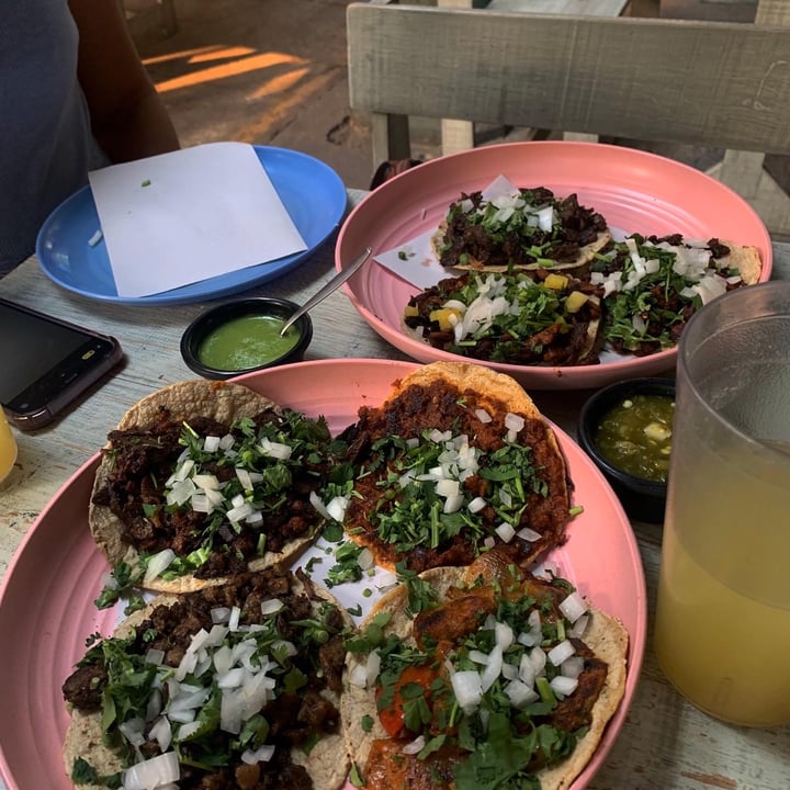 photo of Malportaco Tacos al pastor shared by @jimenarochas on  24 Jun 2022 - review