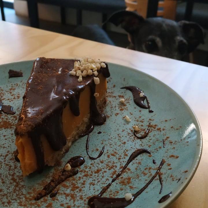 photo of La Sociedad Herbívora Cheesecake de calabaza y chocolate shared by @ornitorrincavegana on  30 Dec 2021 - review