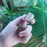Dirty Hippie Cosmetics