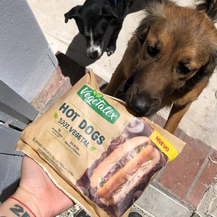 photo of Vegetalex Hot dogs 100% Vegetal shared by @lulitorres on  17 Nov 2021 - review