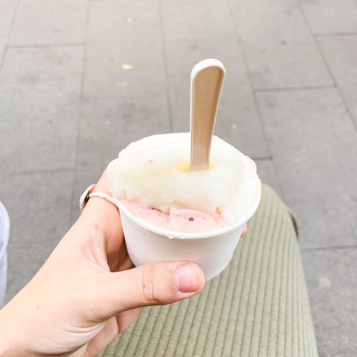 photo of Gelato San Lorenzo Gelato Vegano shared by @misosoup on  01 Oct 2022 - review