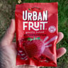 Urban Fruit