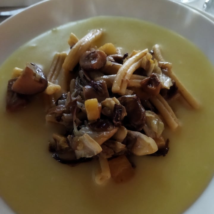 photo of Ristorante Garden Pasta Radicchio E Funghi Su Vellutata shared by @martafarruggia on  13 Jun 2022 - review