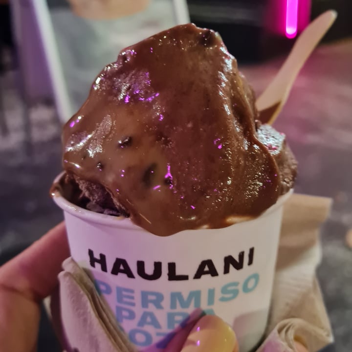 photo of Vegan Creamery By Haulani Chocolate Hualani + Arándanos Y Lavanda shared by @camivaleria on  20 Feb 2022 - review