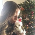 littlewarriorrabbit @littlewarriorrabbit profile image