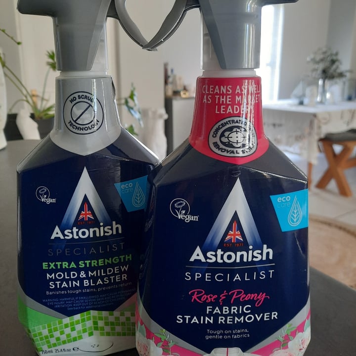 photo of Astonish MOULD & MILDEW BLASTER Vegan shared by @diaryofashleigh on  17 Nov 2022 - review