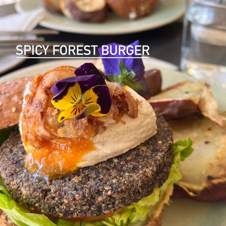 photo of Lexi's Healthy Eatery Forest Burger shared by @greengabby on  29 Aug 2022 - review