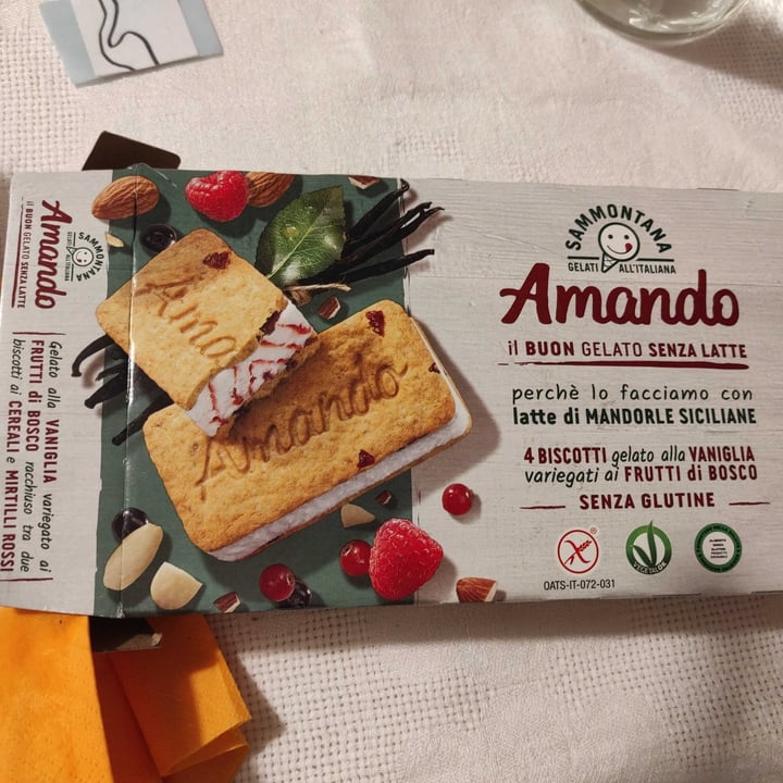 photo of Sammontana Amando biscotti gelato alla vaniglia variegato ai frutti di bosco shared by @matteoargenti on  19 Jun 2022 - review