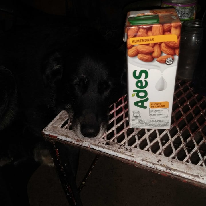 photo of Ades Leche de Almendras sabor Natural shared by @medinasveronica on  12 Dec 2020 - review