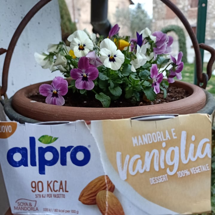 photo of Alpro Dessert mandorla e vaniglia 90Kcal shared by @raffa70s70 on  28 Mar 2021 - review