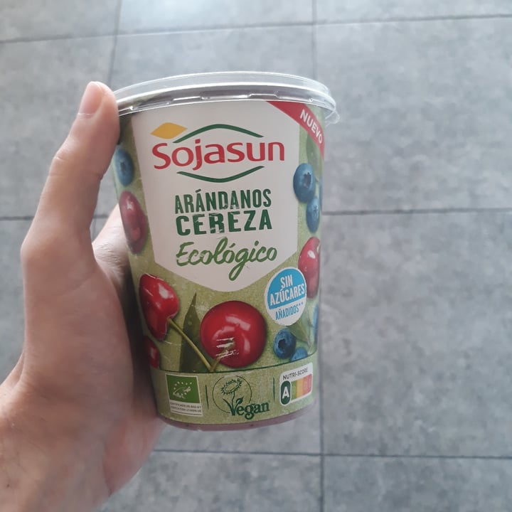 photo of Sojasun Yogurt de arandanos y cereza shared by @bernardorebelo on  01 Jan 2022 - review