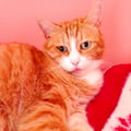 clara1986 @clara1986 profile image