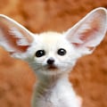 silviaaaa @silviaaaa profile image