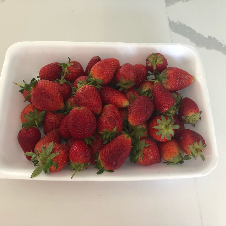 photo of Food Lover’s Market Strawberries shared by @zsuz on  02 Nov 2021 - review