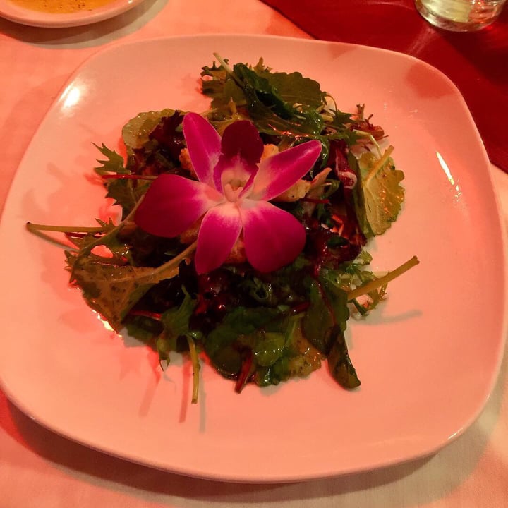 photo of Amore Mio Ristorante Italiano Simple salad shared by @kimk on  15 Feb 2019 - review