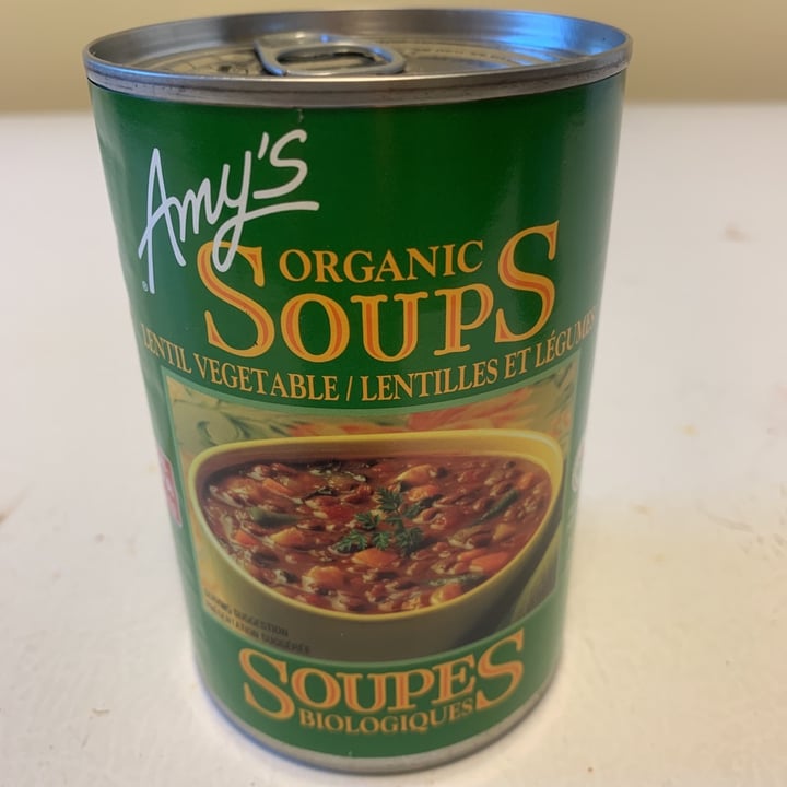 photo of Amy’s Amy's Organic Lentil Vegetable Soup shared by @troyangavery1995 on  28 Jun 2021 - review