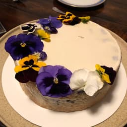 Cosmos Bakery