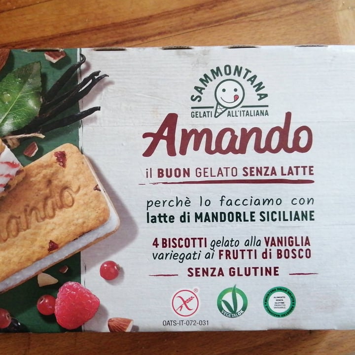 photo of Sammontana Amando biscotti gelato alla vaniglia variegato ai frutti di bosco shared by @straycat on  13 Jun 2022 - review