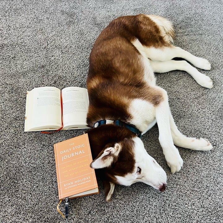 review photo shared by @jenboog on 26 May 2022 - post