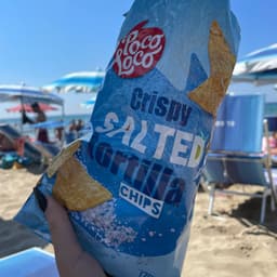 crispy salted tortilla