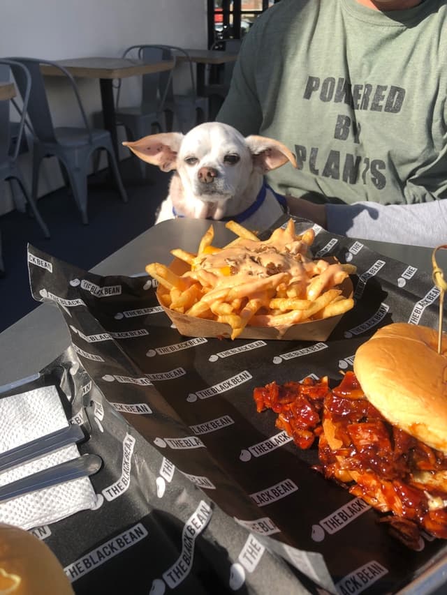 Photo of the dish “BBQ Pulled Porque Sandwich”