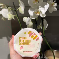 Best Cheeses in Spain