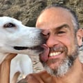 davidxyogi @davidxyogi profile image