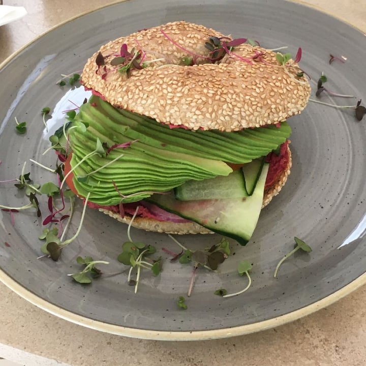 photo of Harvest Cafe Avo Bagel shared by @camirabier on  13 Feb 2022 - review