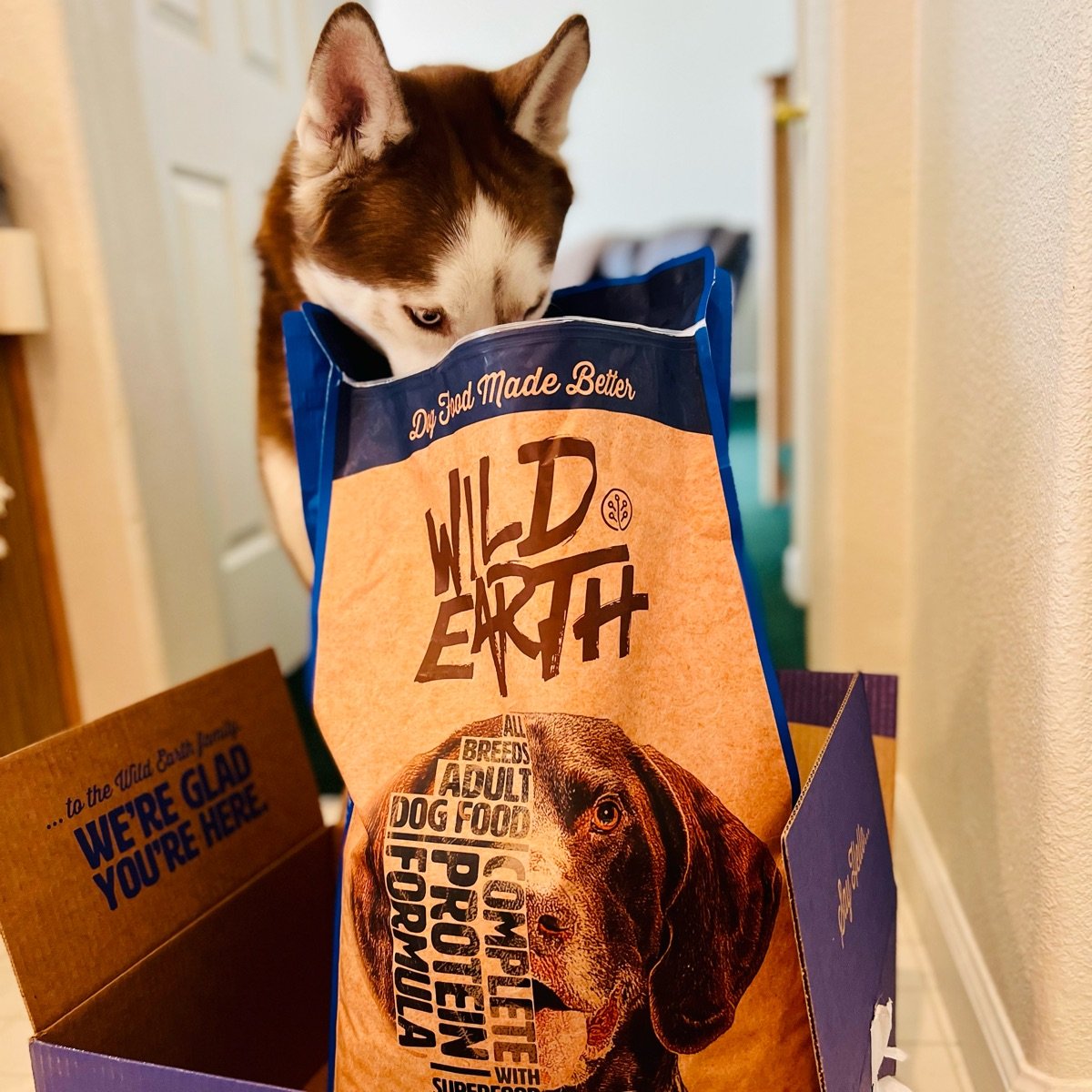 Wild Earth Wild Earth Dog Food Reviews abillion