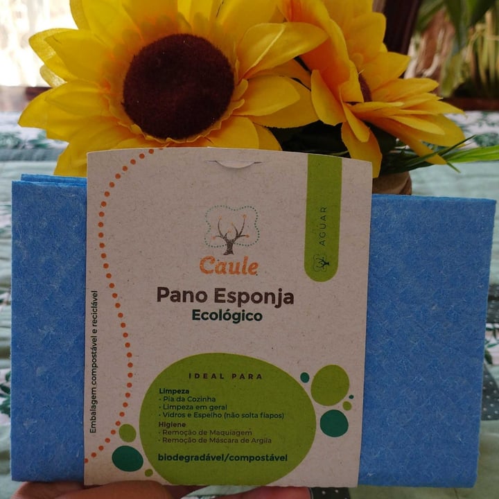 review photo of Caule Ecológicos Pano Esponja shared by @bruhcagnacci on 08 May 2022 - review