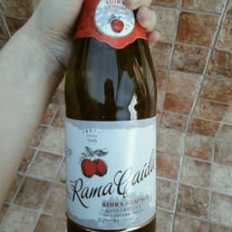 Rama caída