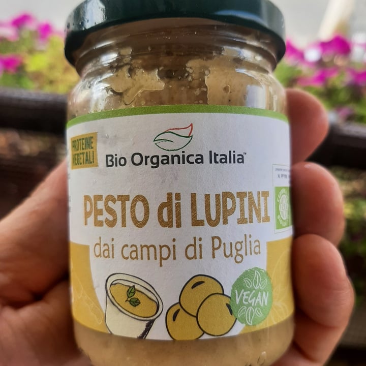 photo of Natura Sì pesto di lupini shared by @gianniveg on  05 Sep 2022 - review