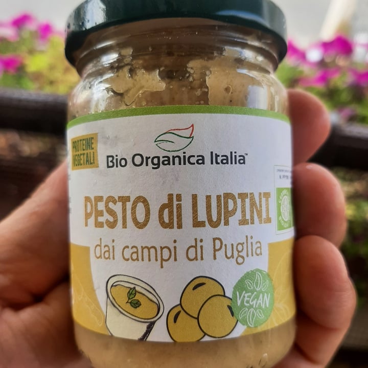 photo of Natura Sì pesto di lupini shared by @gianniveg on  05 Sep 2022 - review