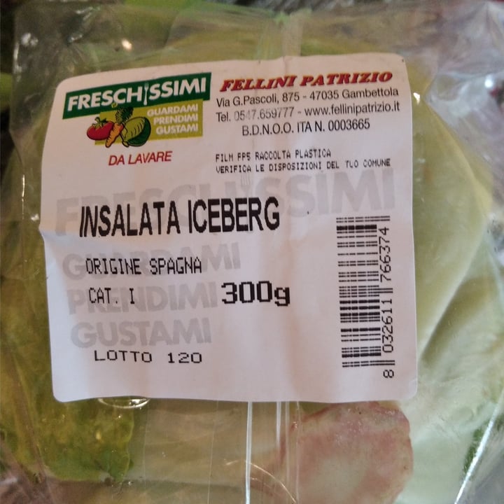 photo of Fellini patrizio insalata iceberg shared by @lory66 on  05 May 2022 - review