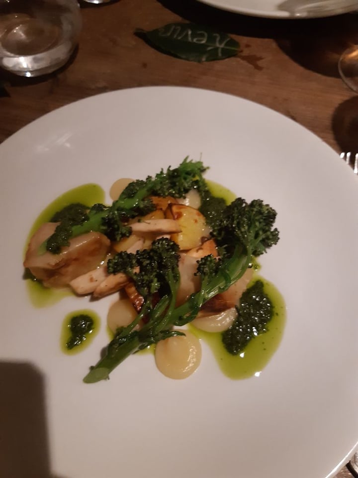 photo of The Gardener's Cottage Salt Baked Celeriac, Wild Mushrooms, New Potatoes, Broccoli shared by @flobadob on  01 Mar 2020 - review