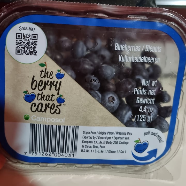 photo of Camposol Blueberries shared by @francy82 on  13 Jan 2022 - review