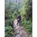 gissellearthling @gissellearthling profile image