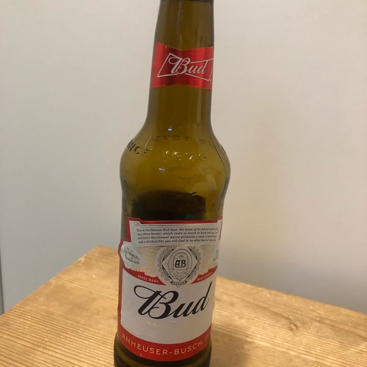photo of Budweiser Anheuser Bush Budweiser shared by @giuliazzi on  26 Jun 2022 - review
