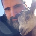 simo2simo @simo2simo profile image