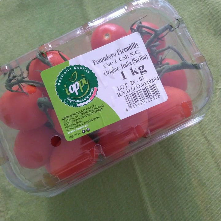 review photo of ioppì pomodoro piccadilly shared by @georgie01 on 28 Jul 2022 - review