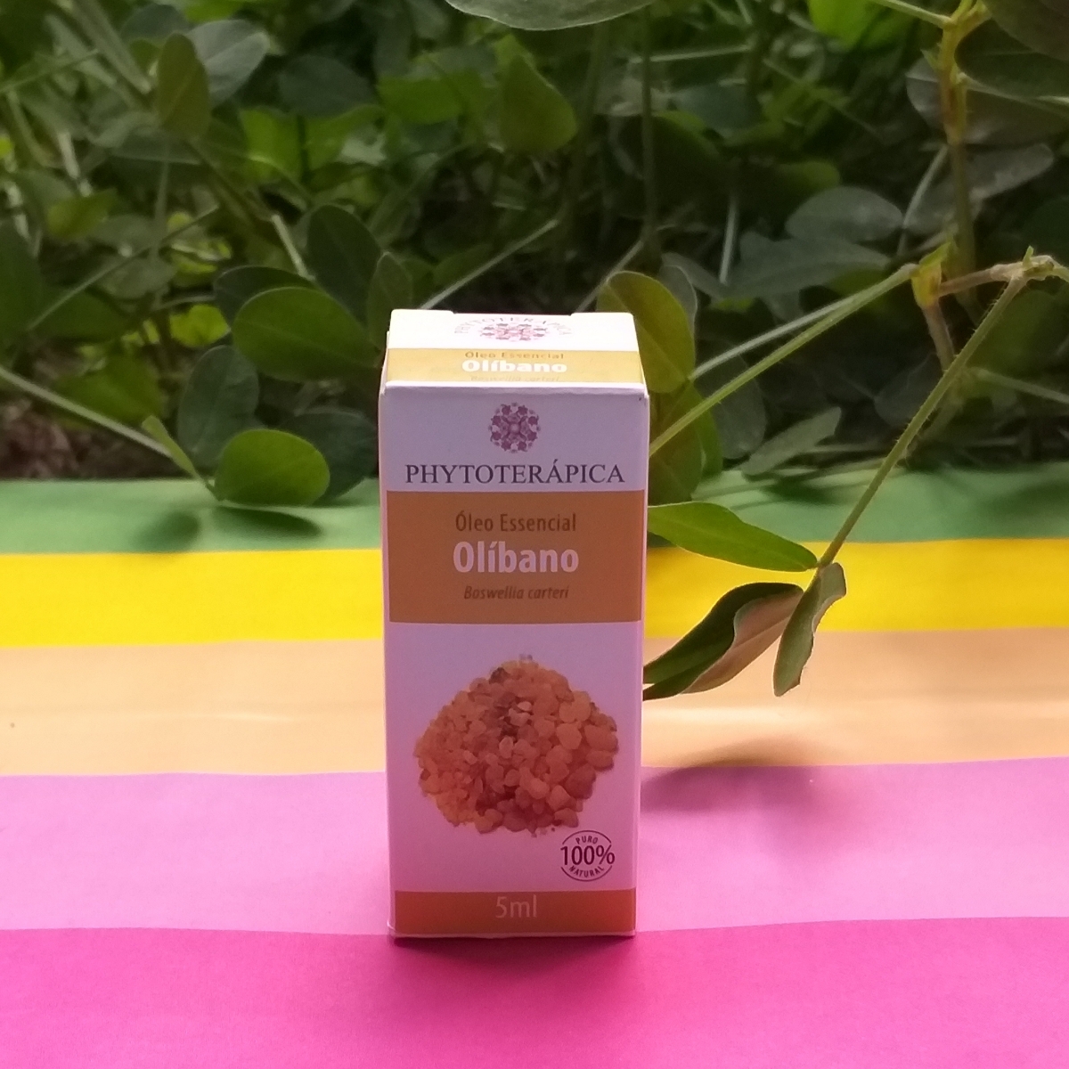 Óleo Essencial de Olíbano from Phytoterápica - Vegan Product Reviews ...