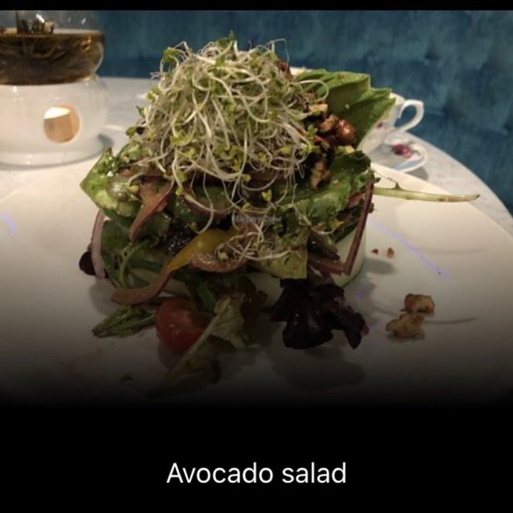 photo of Zen Garden Avocado Salad shared by @ameisherry on  18 May 2021 - review