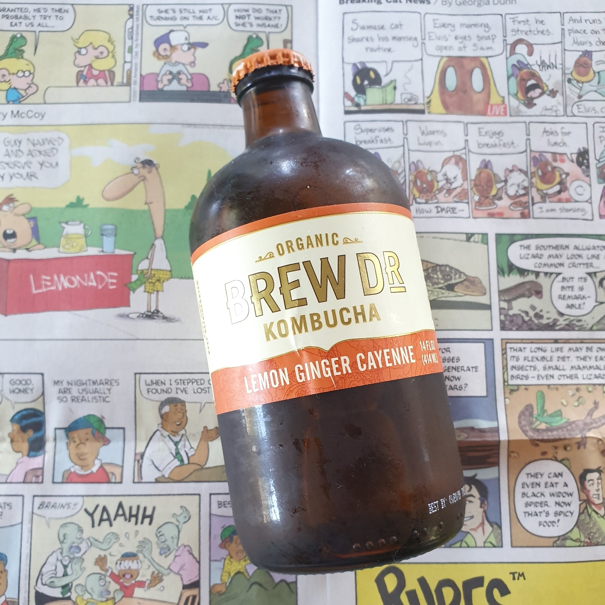 Brew Dr. Kombucha Lemon ginger Cayenne Reviews abillion