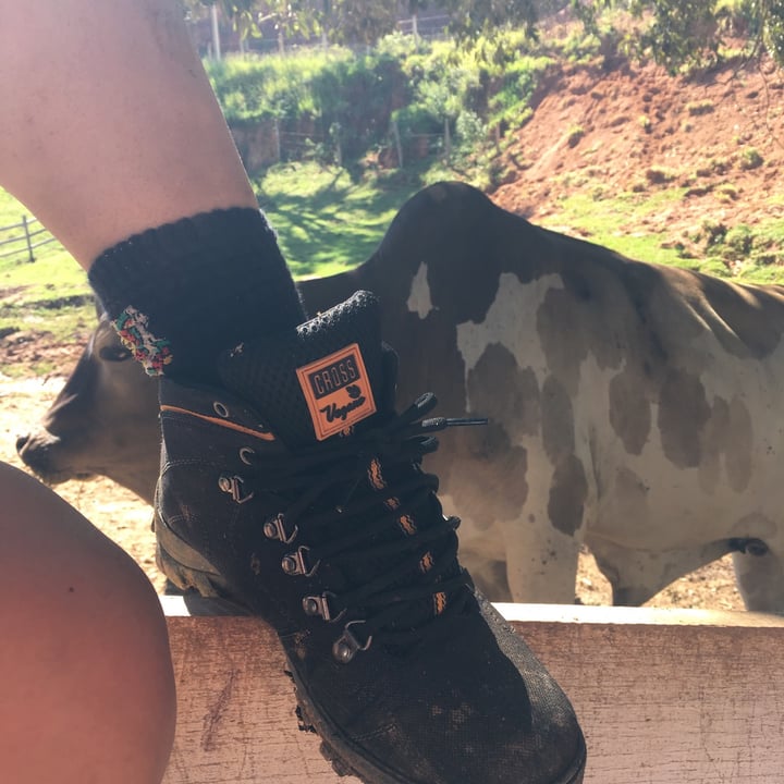 photo of Vegano Shoes Bota Shoes Cross shared by @maynutriveg on  10 Jul 2021 - review